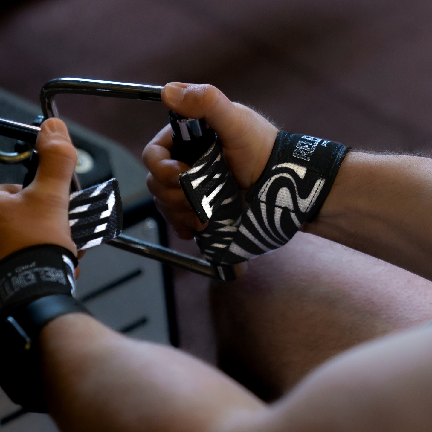 Lifting Straps - Zebra