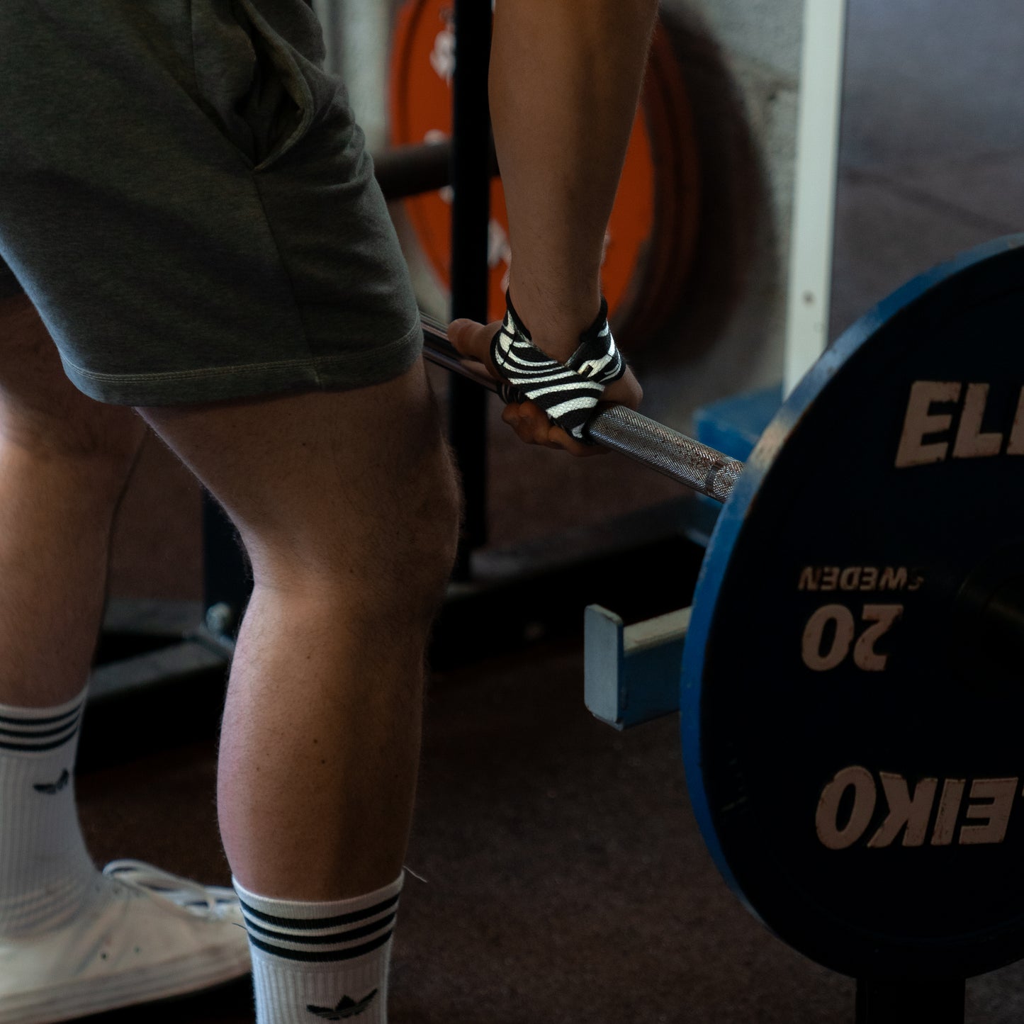 Lifting Straps - Zebra